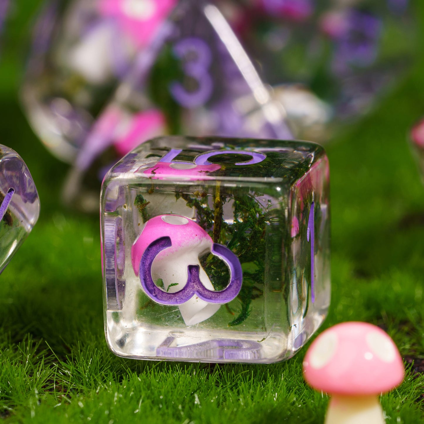 Mushroom Cap - Dice Set