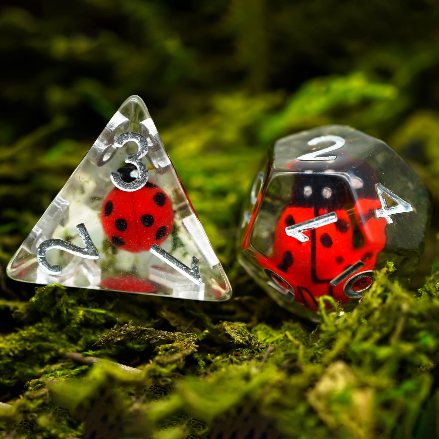 d4 and d12 ladybug dice with white numbers and mossy background