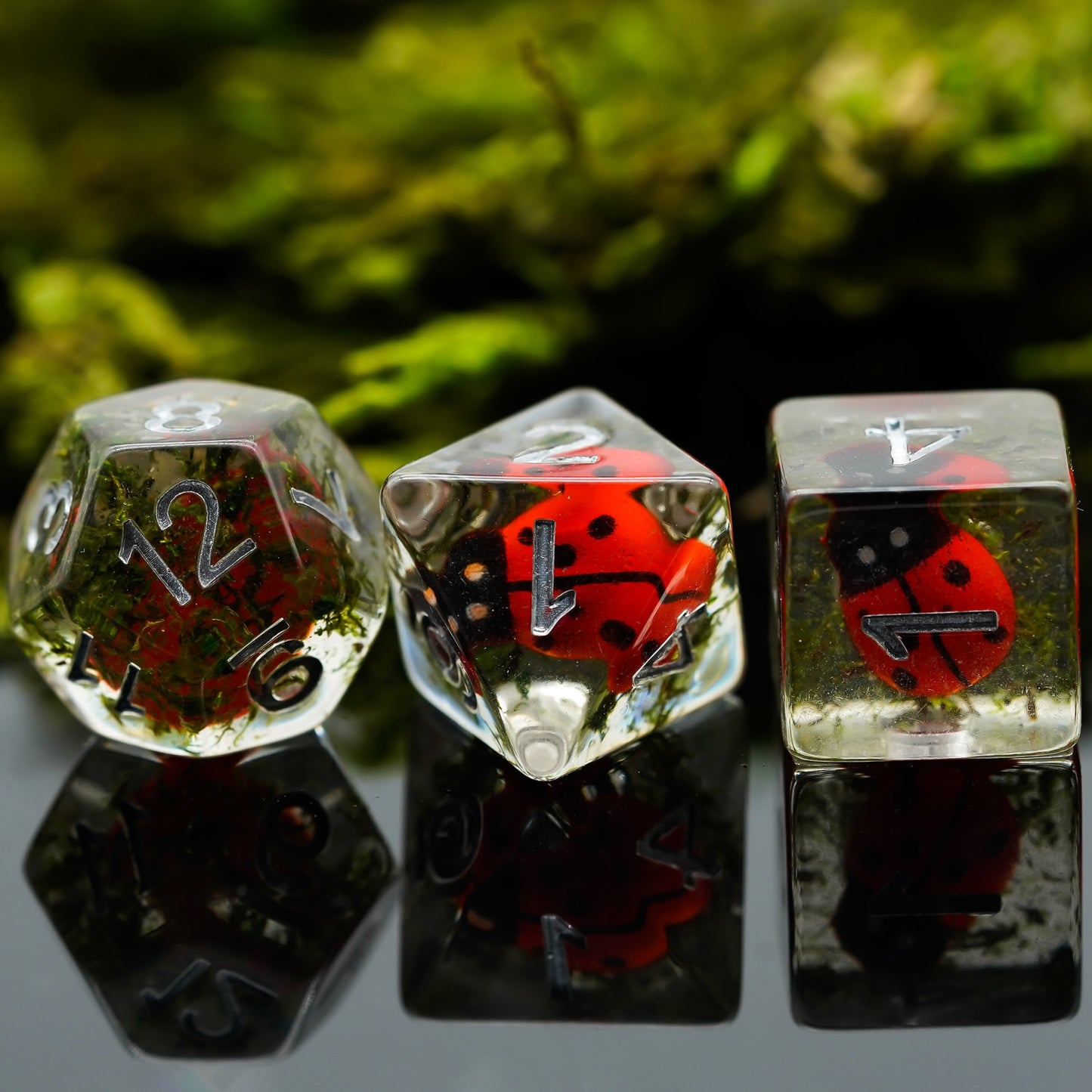 d12, d8 and d6 clear resin ladybug dice on black reflective surface with forest in background