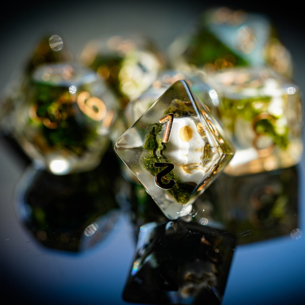 Wizards Phylactery dice reflected on glossy surface showing embedded skull and moss