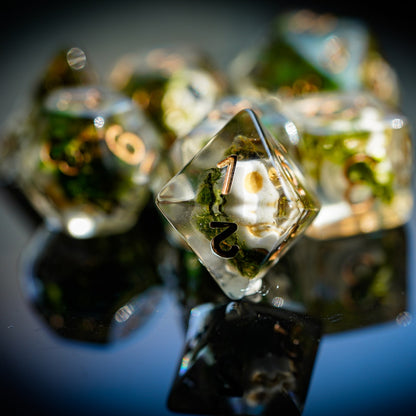 Wizards Phylactery dice reflected on glossy surface showing embedded skull and moss